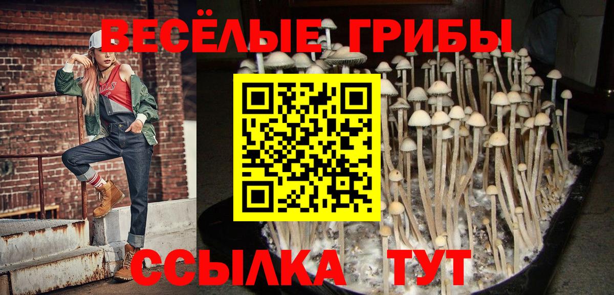 Псилоцибиновые грибы GOLDEN TEACHER Лесной